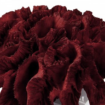 Настольный декор Red Coral